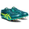Asics Effort 13 Professional Grün 1093A167-300