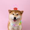 Cute Cartoon Dog Hat with Plush Toy Decoration And Removable Dragonfly for Comfortable And Stylish Pet Photography Props