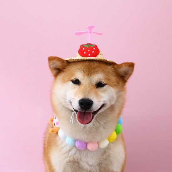 Cute Cartoon Dog Hat with Plush Toy Decoration And Removable Dragonfly for Comfortable And Stylish Pet Photography Props