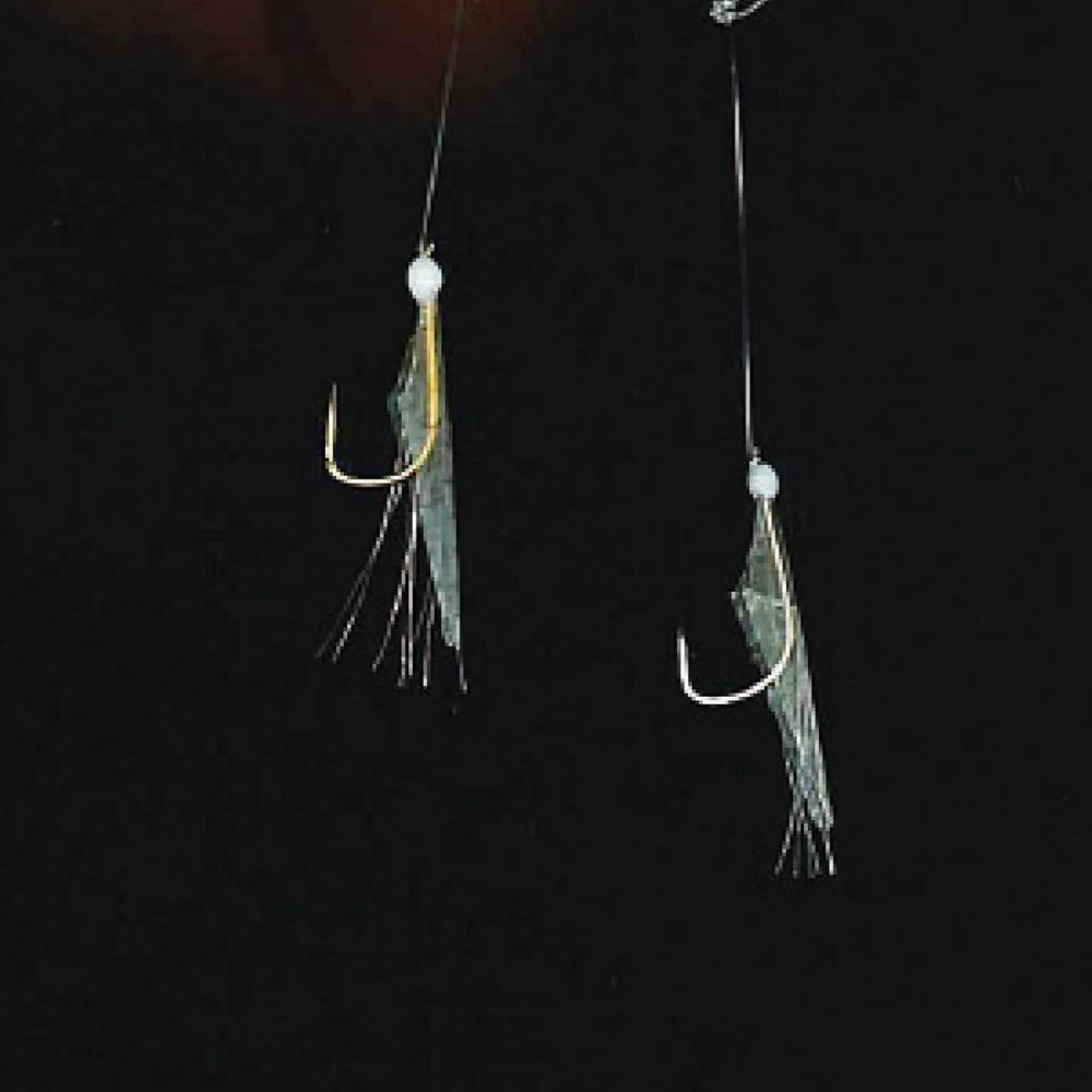 Hayabusa  Hayabusa  Sardine Specialty  3  X3  Keimura