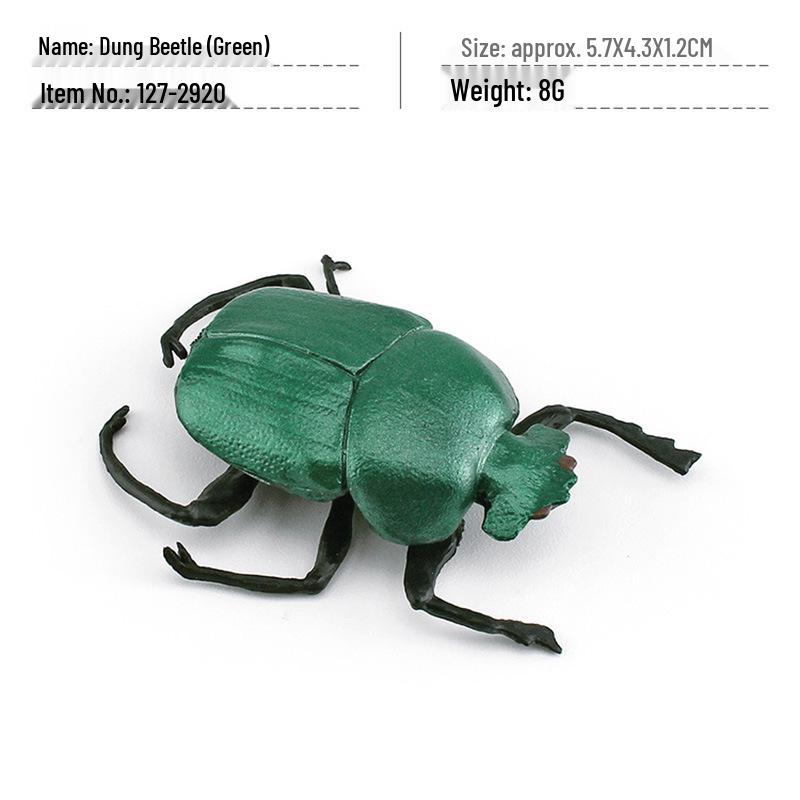 Cross-Border Insect Wildlife Model: Beetle & Scarab for Children's Science Education and Sand Table Decor