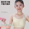 Girls Underwear Student Cotton Sports Vest Back Breathable Mesh Design Adolescent Development Girls Bra