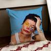Singer HHalsey Cushion Cover Reversible Soft Durable Pillow Cover Home  Car MultiScene Use for Daily Comfort
