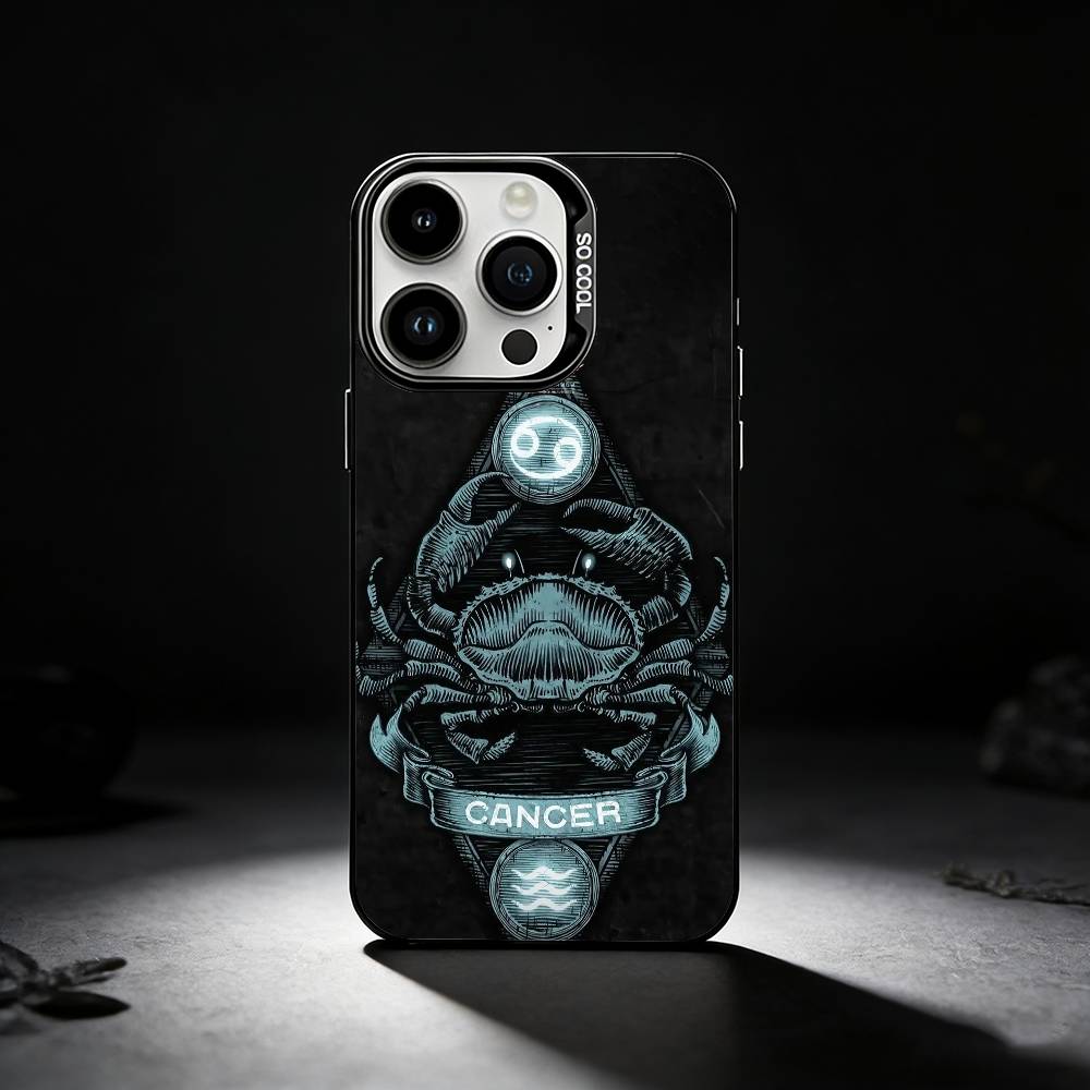 Twelve zodiac signs Phone Case For iPhone 17,16,15,14,13,12,11 Plus,Pro Max,XS,Colored silver phone case