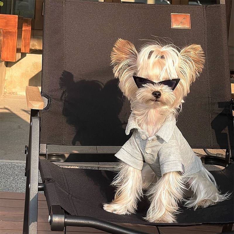 Trendy Pet Fashion Glasses for Cats and Small Dogs - Stylish Triangle Frame, Perfect for Photo Props, Everyday Fashion Accessories