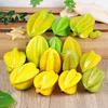 Weighted Five-Pointed Star Fruit Model - Foam Decoration for Home & Photography Prop