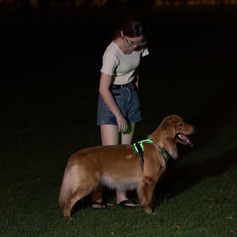 LED Flashing Dog Vest with USB Charging and Explosion-Proof Design