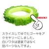 Food Sample Strap Bitter Melon that looks like it could be eaten 244OS -