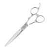 DEEDS XXA Scissor Thinning Set Approximately Thinning by Japanese Scissors for Professional Hairdressers and Haircutters (6.0 Inches, 25% Rate)