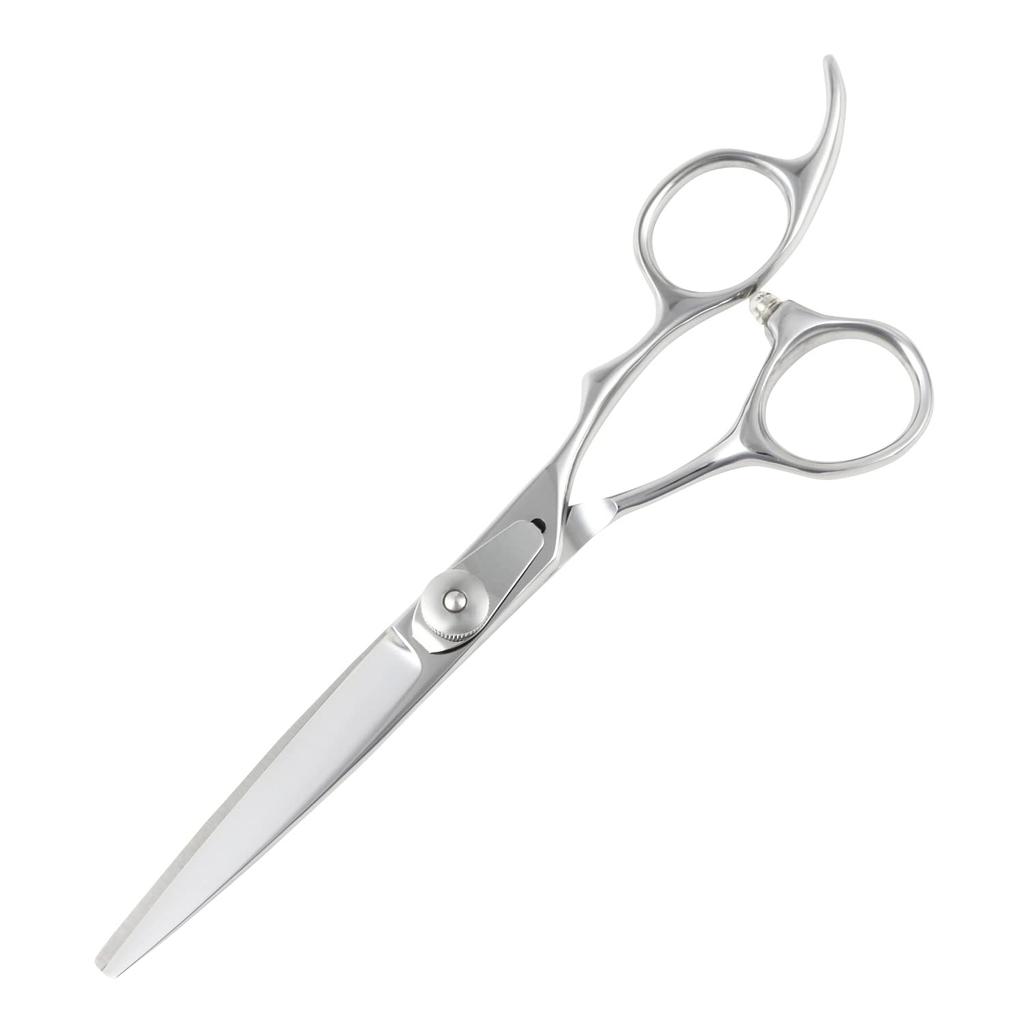 DEEDS XXA Scissor Thinning Set Approximately Thinning by Japanese Scissors for Professional Hairdressers and Haircutters (6.0 Inches, 25% Rate)