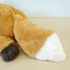 Sun Arrow Cushy Fox Plush