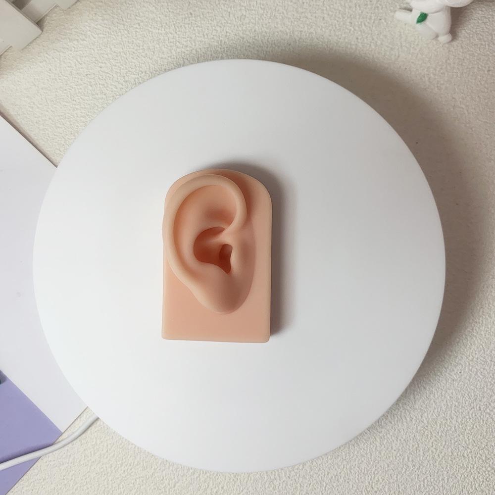 Model din silicon pentru ureche, nas, buză, pentru afișare și antrenament, cu suporturi pentru piercinguri