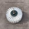 Abrasion Resistance Cleaning Wheel Horsehair Brush Polishing Brush