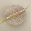 18CM Acetic Acid Hair Stick Chinese Style Hair Fork Willow Leaves Shape Hairpin  Daily