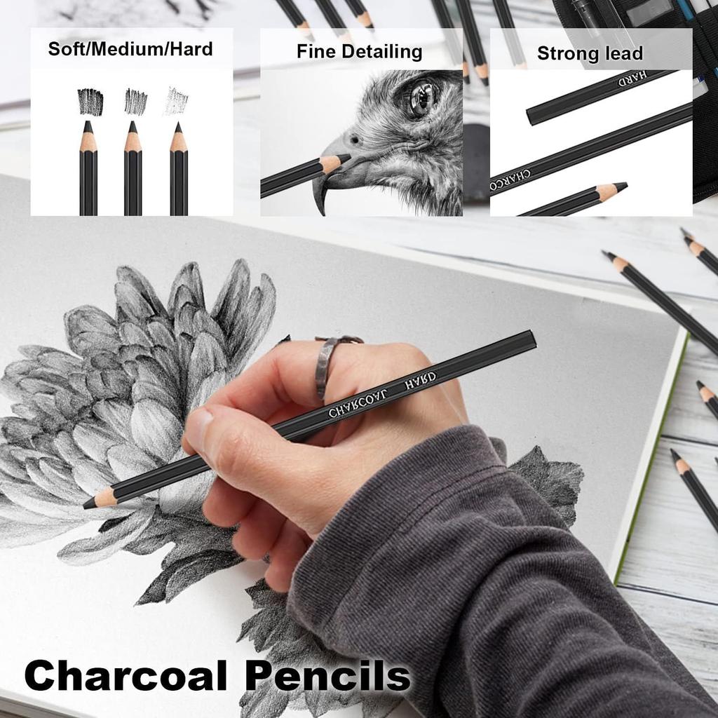 29 Pcs Professional Sketching Pencil Set for Artists Drawing Pencils with Charcoal Pencils, Blending Stumps, Eraser