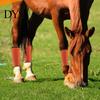 Horse Leg Leggings 4Pcs Summer Fly Boots Breathable Reduce Stomping Flies Bites Mesh Set Wrap Adjustable Guard Protective Cover Supplies Lightweight