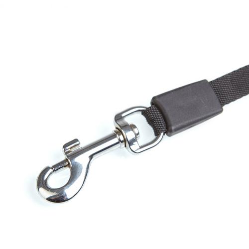 Automatic Dog Leash