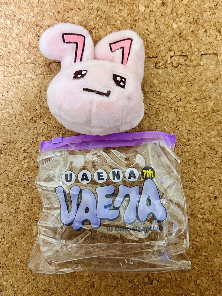 [USED] IU Korean Fan Club Yuena 7th Generation Official Kid. Not All Items Are Included.