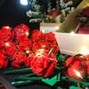 Realistic Roses Flowers Building Block Bricks Educational Toys Set For Girls