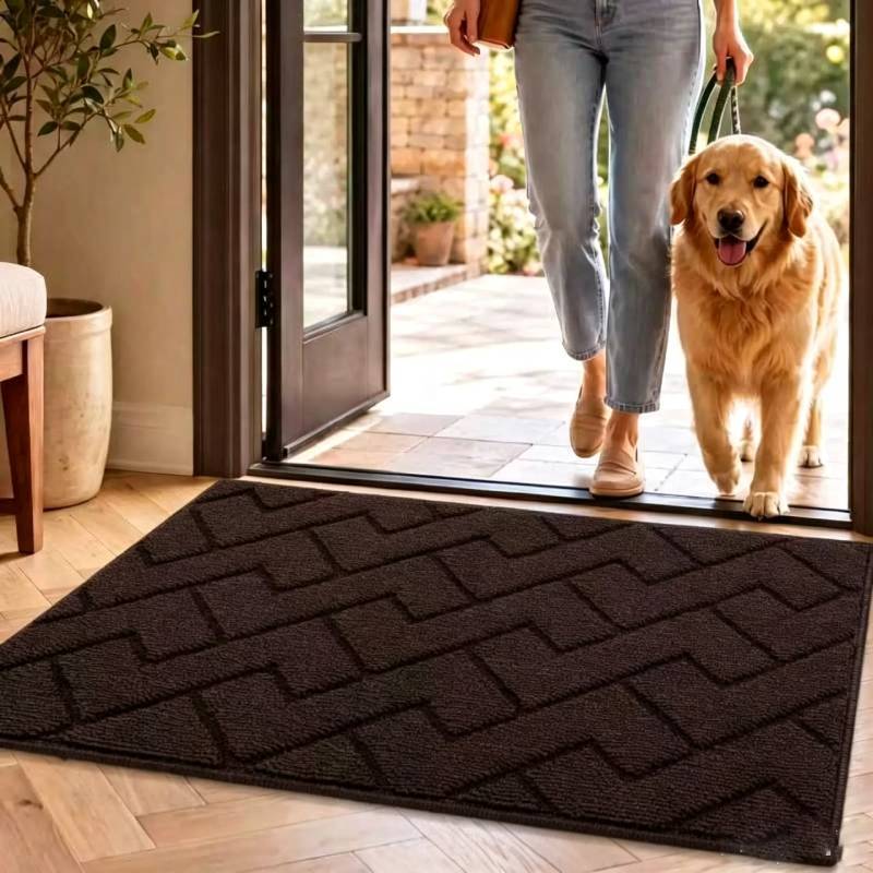 Entryway Doormat With Plush Flocking For Bathroom And Living Room Use