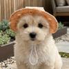 Breathable Dog Fisherman Hat Adjustable Pet Sun Cap Party Photo Dress Cat Sunscreen Hat Kitten
