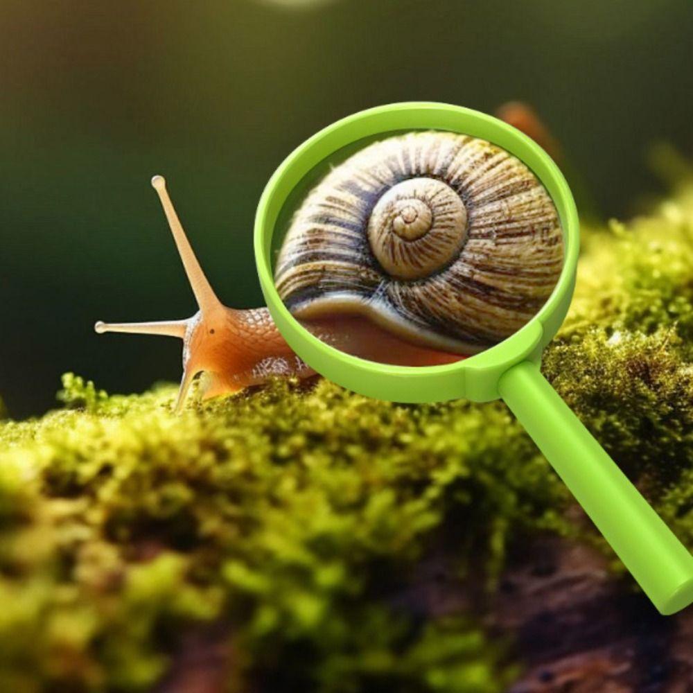 Breathable Insect Observation Box Transparent Insect Catcher Cage  Nature Exploration