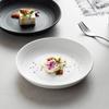ZISIZ Frosted Dinner Plate