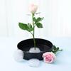 Plastic Flower Frogs Clear Round Flower Pin Frog Holders For Flower Arrangements Flower Arrangement Pin Garden Watering Wand