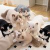 Bebek ve Peluş Oyuncaklar – Doldurulmuş ve Peluş oyuncak hayvanlar
