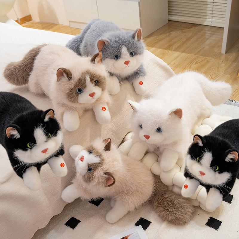 Simulation Ragdoll Cat Plush Toy Fairy Cat Plush Doll Brown and White Face Ragdoll Plushie Cat Home Decor Black Pussy Doll Toys