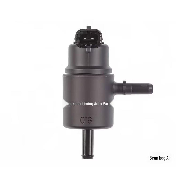 Modern Car Carbon Canister Solenoid Valve 28910-2J301