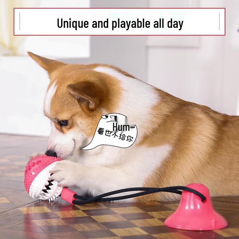 

Hoopet Large Dog Squeaky Suction Cup Chew Toy