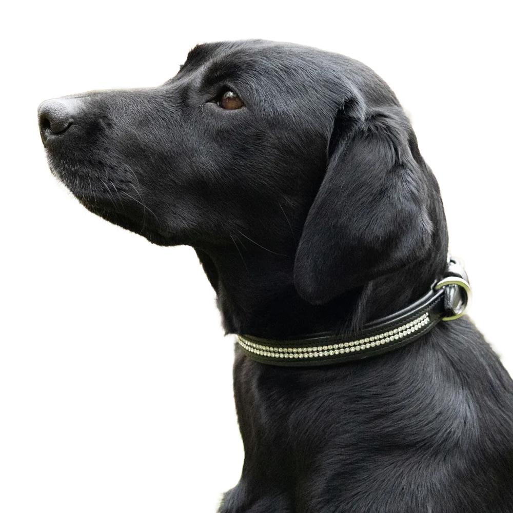 Benji & Flo Diamante Dog Collar