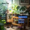 Guzish Floor-Standing LED Plant Grow Light