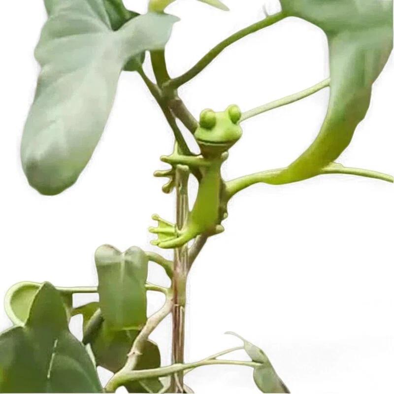 5pcs Cute Stable Green Plant Supports Holder Fixing Clip Frog Plant Stand