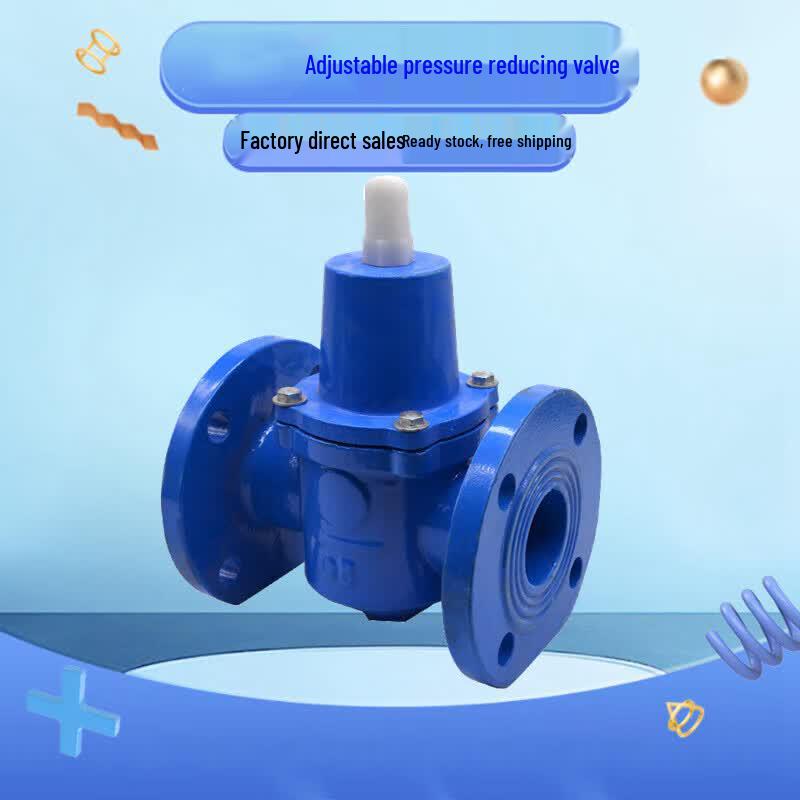 Cast Iron Flange Pressure Reducing Valve
