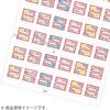 Kokuyo Color LBP-T2591R Laser Color Copy Tack Index Film Label Large Red