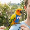 Adjustable Parrot Flying Harness Breathable Parrot Flight Suit Parrot Vest  Macaw Accessories