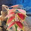 Artificial Grass for Reptiles Tanks Flexible and Safe Decoration Comfortable Environment Plant Grass Landscaping