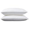 Basic Pillow, Down Alternative, Machine Washable, Large, 2-Pack, 51 X 66 Cm, White