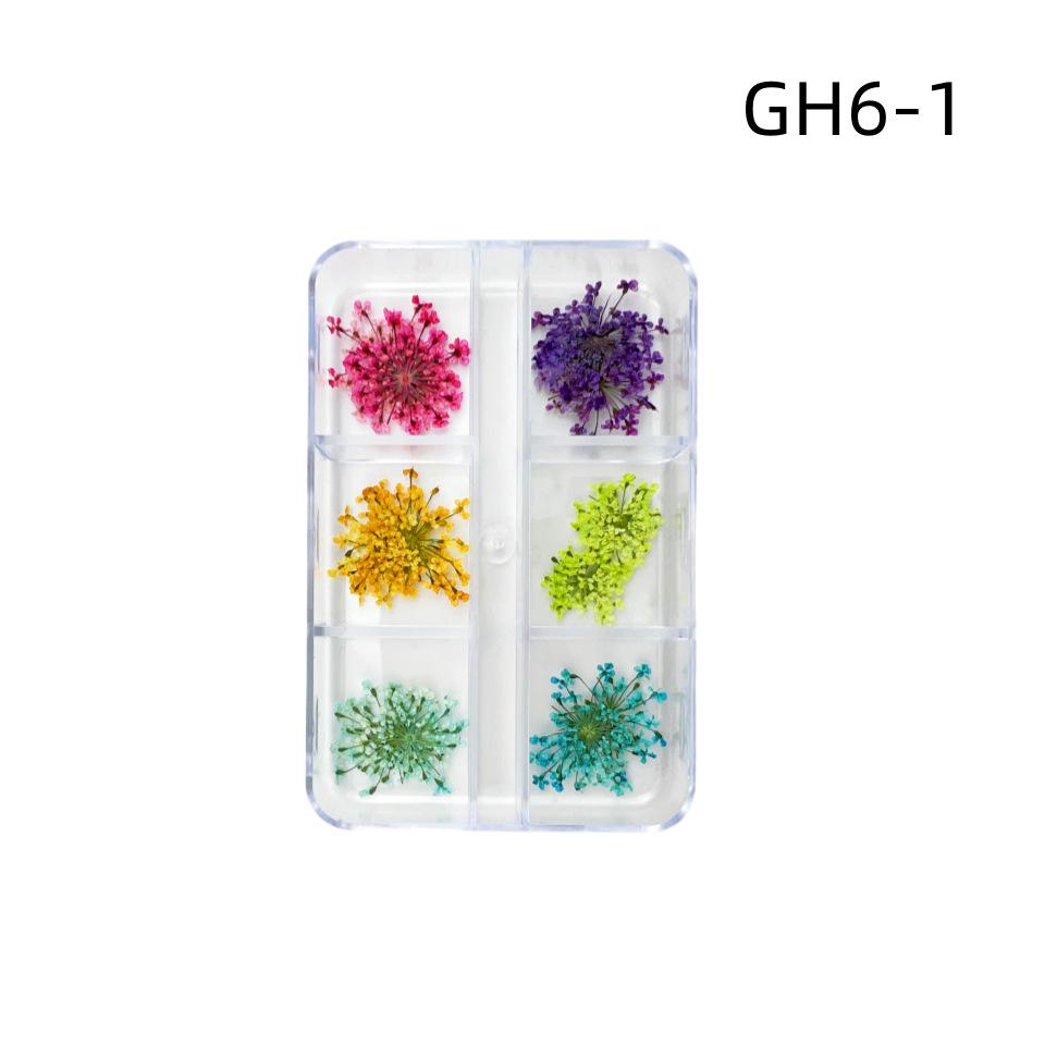 6-Grid Natural Dried Flowers for Nail Art - Japanese Style Sunflower & Baby's Breath DIY Decorations