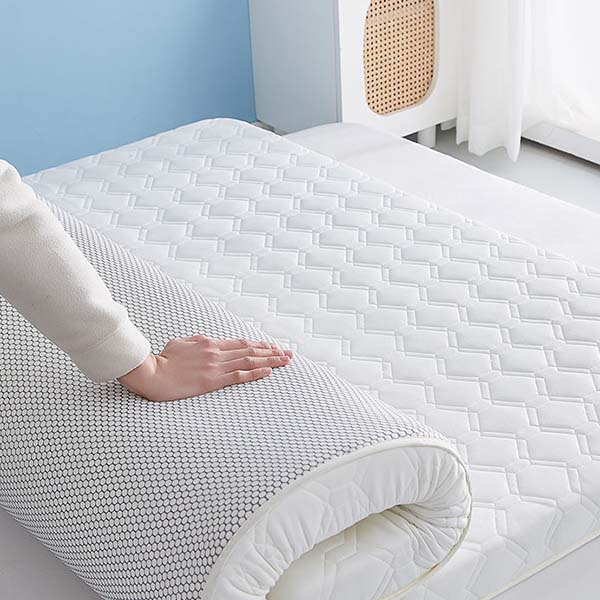 WTEMPO Soft Home Double-sided Bed Mattress Solid Color Thickened Single/Double Mattress Cushion Quilts Warm Winter Single Student Dormitory Mattress