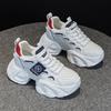 6616-2 Mesh inner height increase dad shoes women's spring and summer new versatile Korean version platform dad shoes student break
