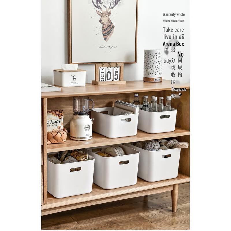 Fan Gao Frosted Plastic Storage Box with Lid