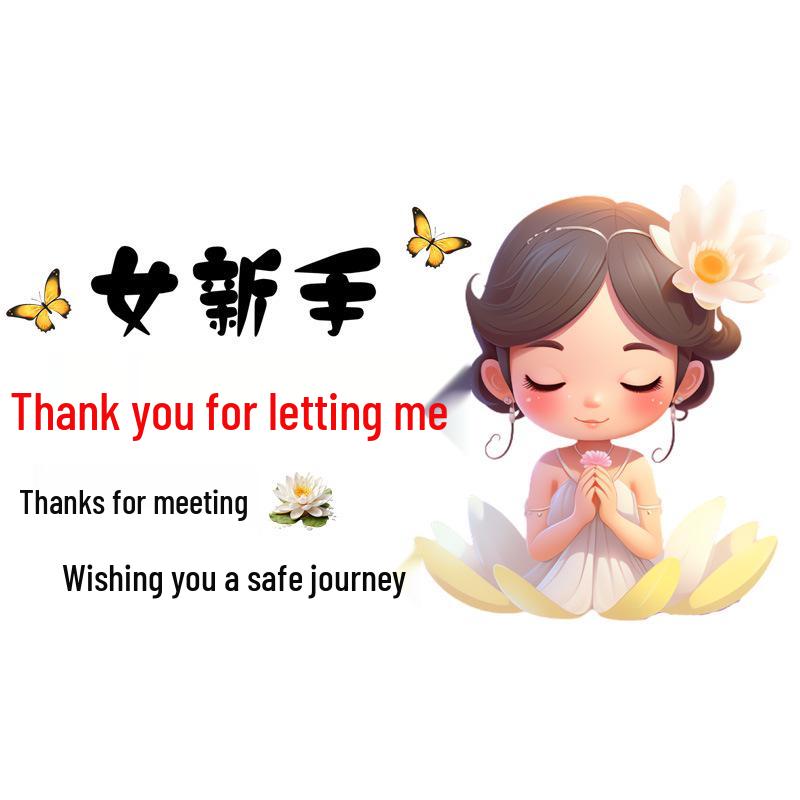 Grateful Meet Sticker: Wishing a Safe Journey - Rear Windshield Decal for New Drivers