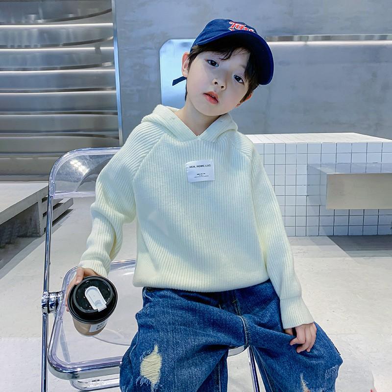 Boys Winter Hooded Sweater Kids Fashion Knit Pullover 110-170cm
