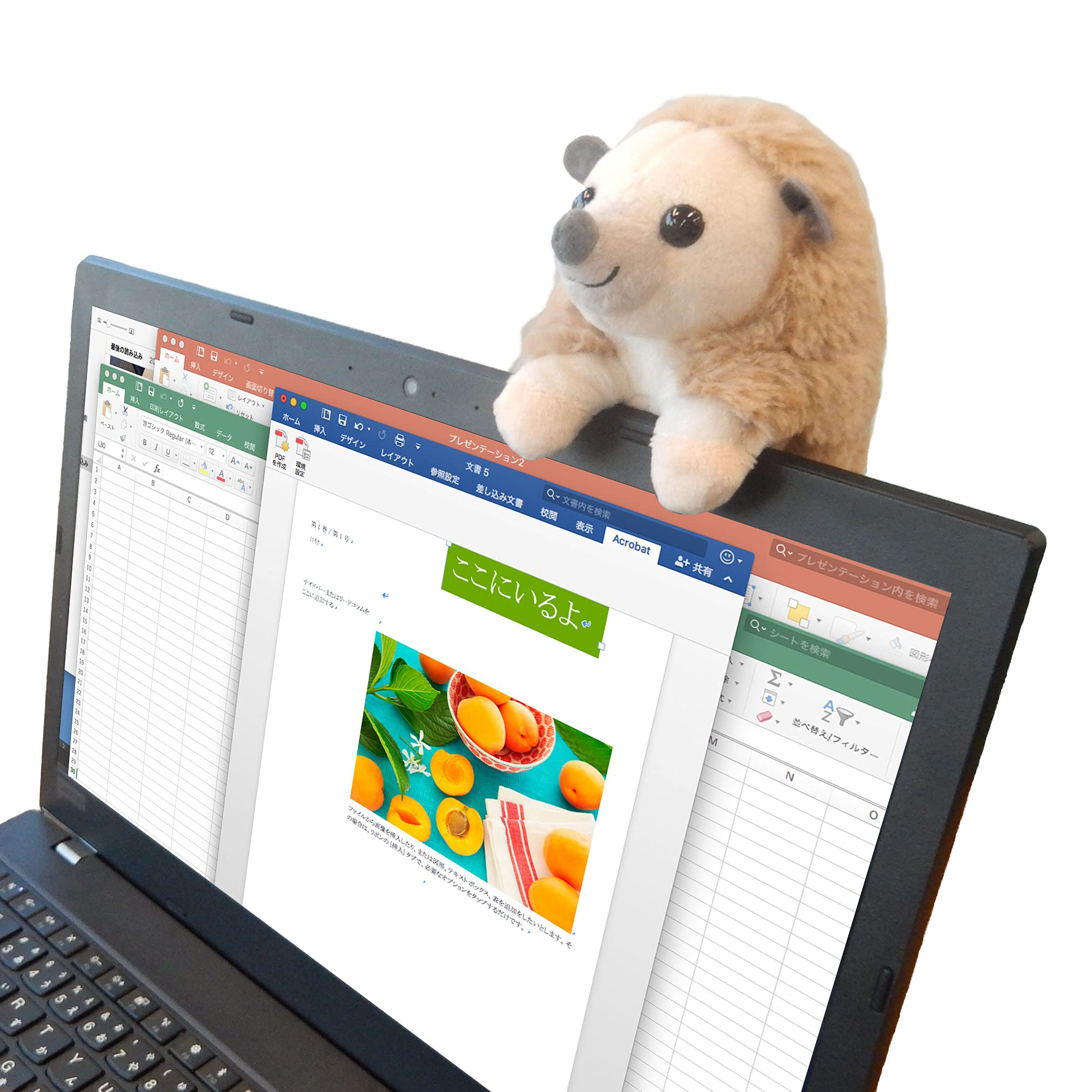 

AQUA Plush Toy Here Hedgehog Plush Toy that fits on your laptop monitor I m