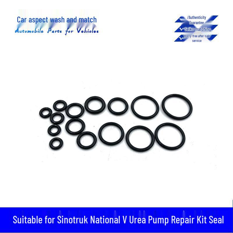 Sinotruk National V Urea Pump Repair & SCR Overhaul Kit