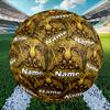 Custom Name Personalized AEK Athens FC Print Size 5 Soccer Ball Training & Match Football, for Team, Kicking, Gift for Football Enthusiasts
