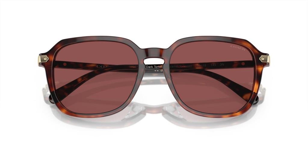 Sunglasses HC8383U CL912 DARK TORTOISE 55 [Coach] TORTOISE/CARAMEL